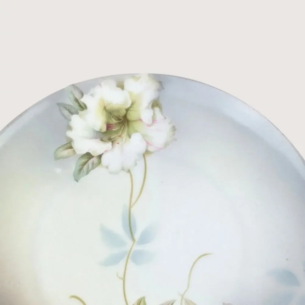 Antique PV Vessra Germany Hand Painted Floral Handled Dresser Tray Plate